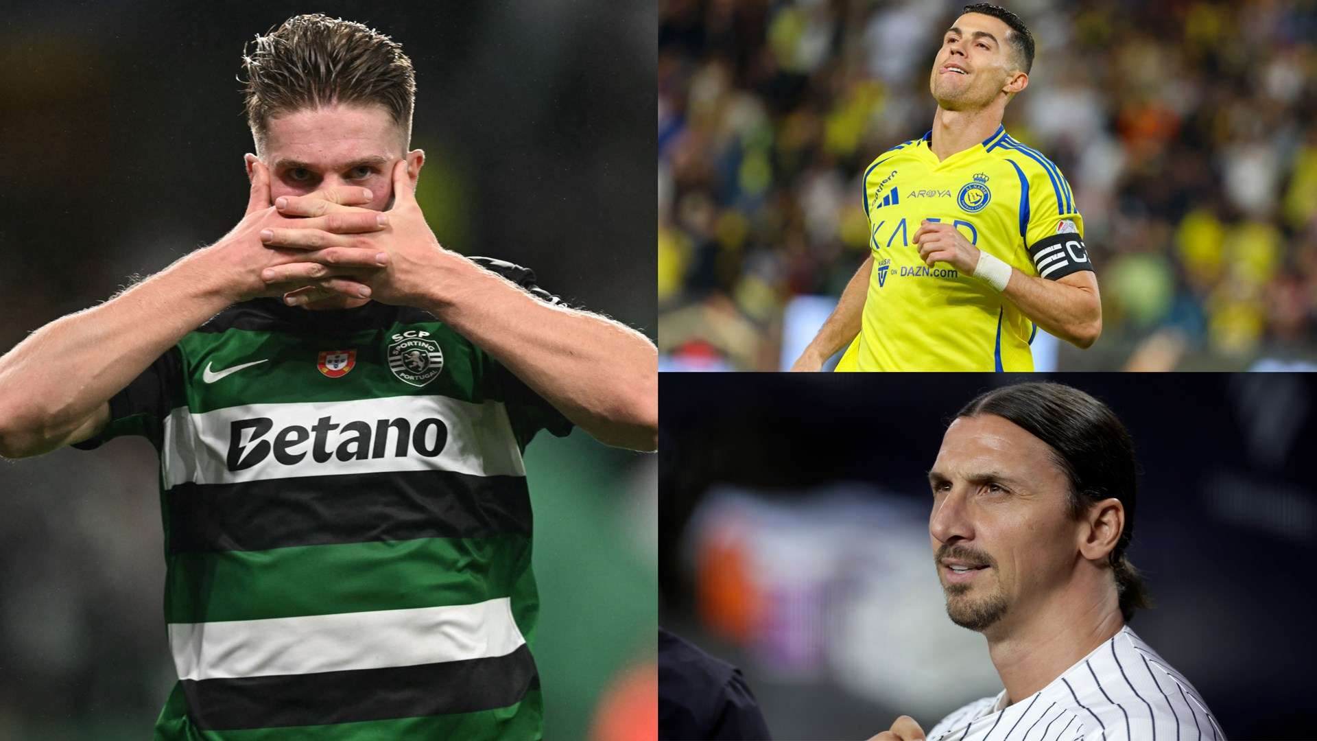 度与激情 度与激情